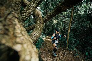 BIB: 
                            <button type="button" onclick="openModal(25704447)" class="btn btn-primary btn-sm float-right btn-popup" data-toggle="modal" data-target=".modal-high-quality">
                        <i class="fas fa-shopping-cart"></i> Add to Cart
                    </button>
                                            <button type="button" onclick="isThisMe(25704447, true)" class="btn btn-success btn-sm float-right btn-popup btn-isme hidden" data-toggle="tooltip" data-placement="bottom" title="นี่คือรูปของคุณใช่ไหม คลิกที่นี่เพื่อเอาเข้าอัลบั้ม">
                        <i class="fas fa-plus"></i> Add to album
                    </button>
                    <button type="button" onclick="isThisMe(25704447, false)" class="btn btn-warning btn-sm float-right btn-popup btn-isnotme hidden">
                        <i class="fas fa-ban"></i> Remove from album
                    </button>